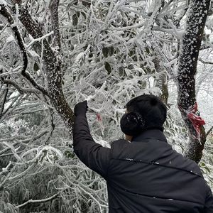 全中文-2024年国语粤音ElectroHouse音乐专辑Vol.1