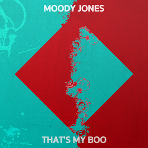 The Funk (Original Mix)