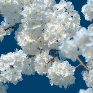 痛苦是幸福赝品