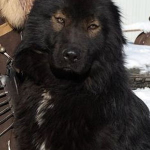 Still Alone (slowed)