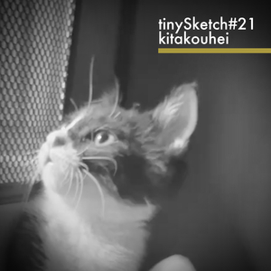 tinySketch #21