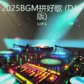 2025BGM拼好歌 (DJ版)