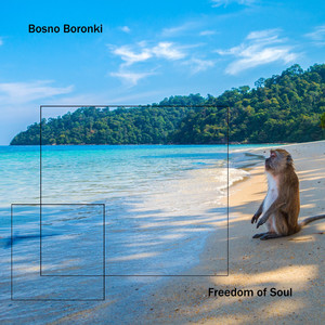 The Freedom of Souls