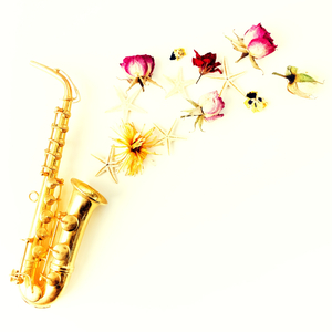 The Conclusion (No Drums)