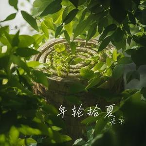 年轮拾夏