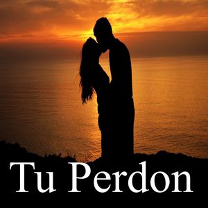 Tu Perdon