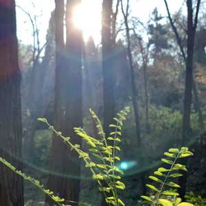 有你的时光都不算虚度