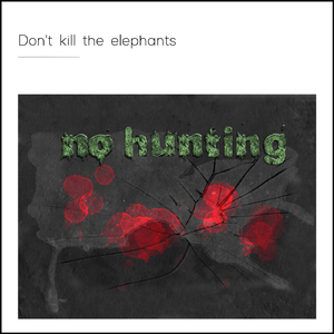 Don't Kill the Elephants