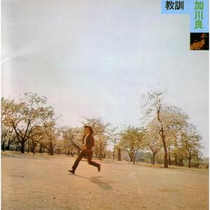 できることなら