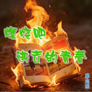 燃烧吧逝去的青春