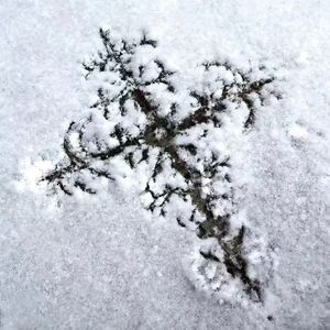 多面-视界