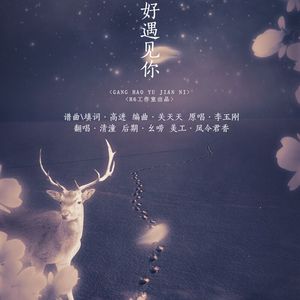 刚好遇见你（Cover 李玉刚）