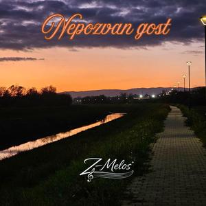 Nepozvan gost