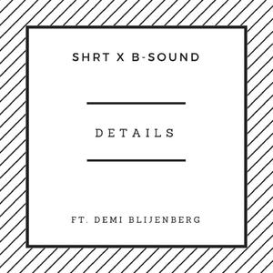 Details (feat. Demi Blijenberg)