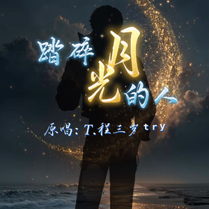 踏碎月光的人.wav