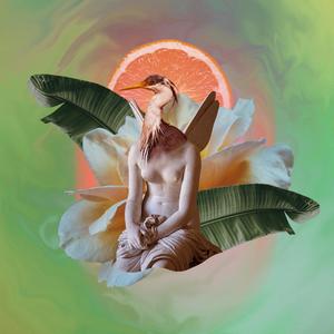 Festival Of Feathers