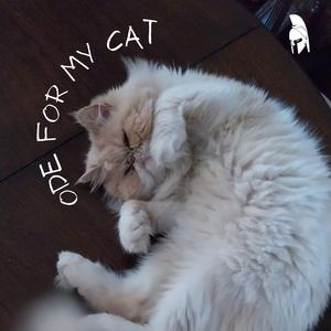 ode for my cat