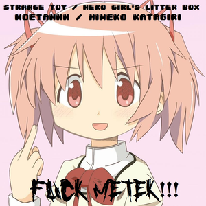Metek Is A Faggot