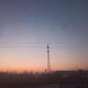 山雀（新版）（翻自 万能青年旅店）