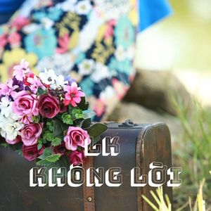 LK Nhạc sống đám cưới (Không Lời)