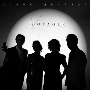 String Quartet No. 13 in B-Flat Major, Op. 130: III. Andante con moto, ma non troppo. Poco scherzoso