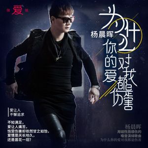 为什么你的爱对我都是伤害 (DJ版)