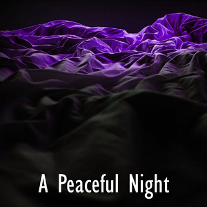 Engaged In Meditation