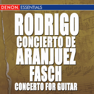 Concerto for Guitar and Strings in D Minor: III. Un Poco Allegro
