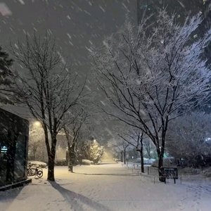 风已经有冬天的味道了 (冬天BGM)