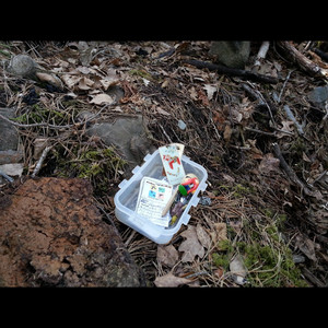 where the caches stand