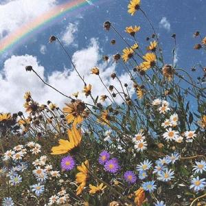 雨后（prod by 周大发）