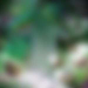 저 위로 가려고 해