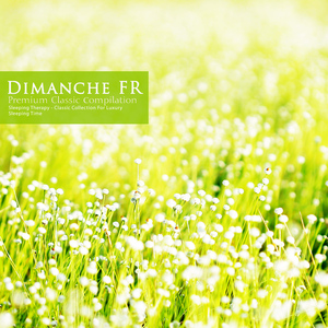 Handel: Organ Concerto No.7 In B Major Op.7-1 HWV.306 - III. Largo E Piano