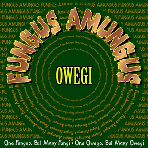 And So the End Begins