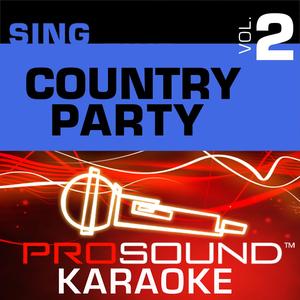 T.R.O.U.B.L.E (Karaoke Instrumental Track) [In the Style of Travis Tritt]