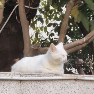 “话该怎么说清楚” emo x 河南神 type beat