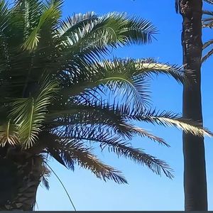 蜡油顺着杯壁流淌