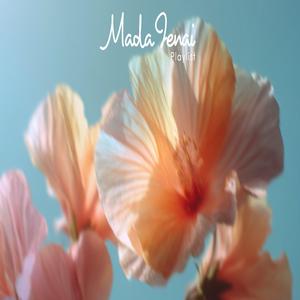 水たまりを避けない日