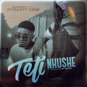 Teti Nkushe