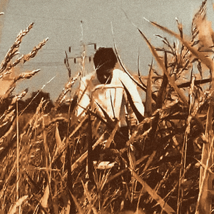 Będziemy Wisieć Albo Siedzieć