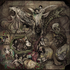 Wolves Beyond the Border