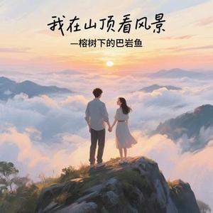 我在山顶看风景