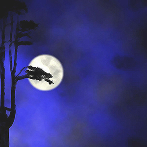 勇气-钢琴版（Cover 梁静茹）