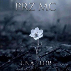 FLOR