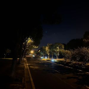 迷雾森林中的秘密通道