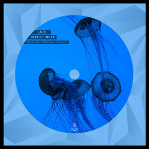 Perfect Day (Original Mix)