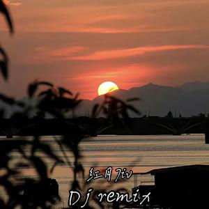 哪里都是你(BB鼓 红月7iv remix)