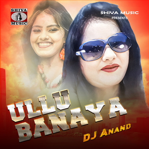 Ullu Banaya Dj Anand
