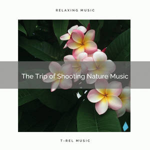 Smile, Reach Equilibrium Nature Tunes for Magical Dreams