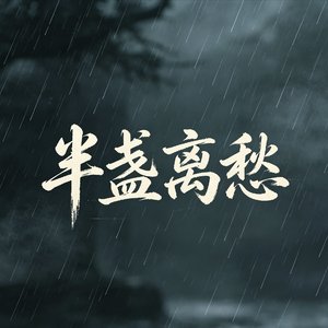 半盏离愁.mp3